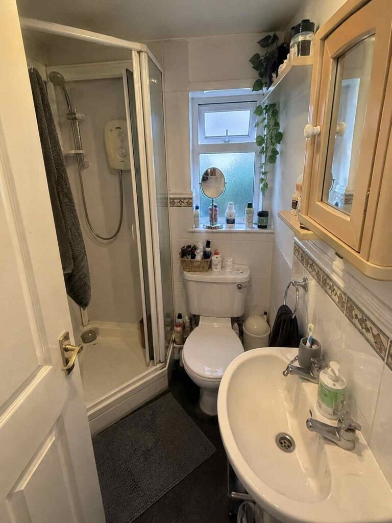 Compact bathroom with a corner shower enclosure, pedestal sink, and toilet beneath a frosted window. The space features white wall tiles with a decorative border, a mirrored wall cabinet, a dark floor, a grey bath mat, trailing plants on an overhead shelf, and everyday toiletries neatly arranged around the sink, windowsill, and toilet